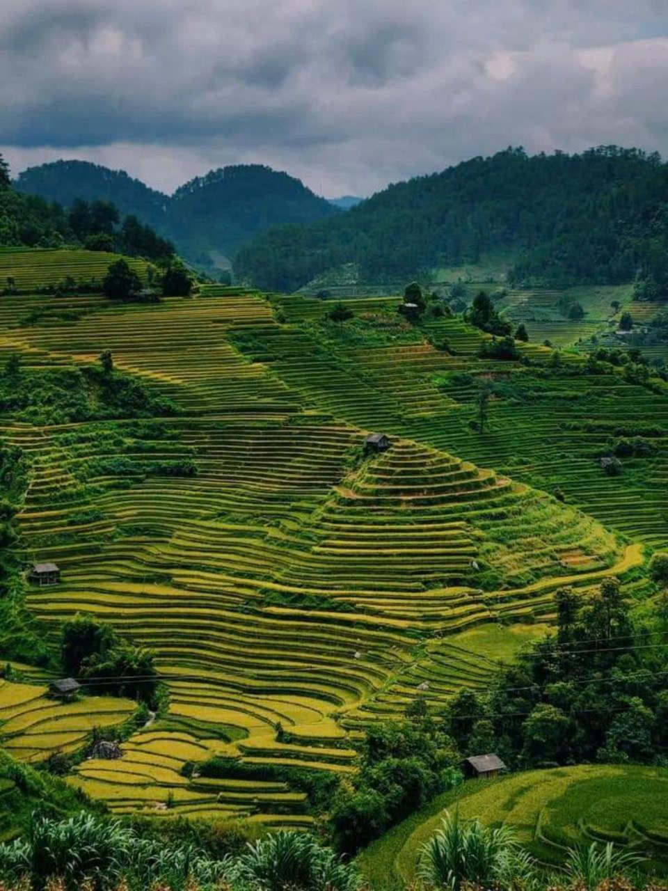 Mu Cang Chai Eco Home Exterior foto
