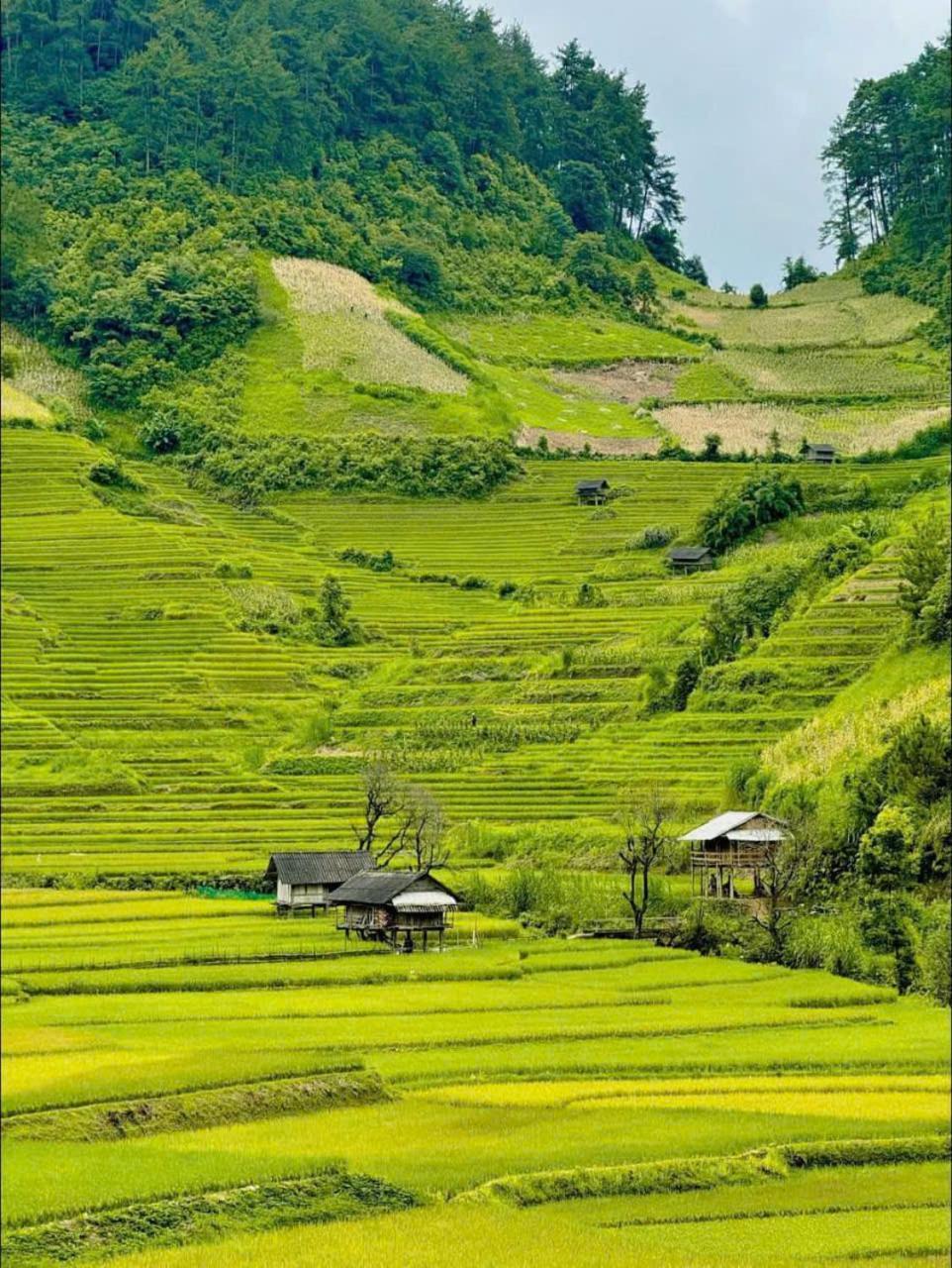 Mu Cang Chai Eco Home Exterior foto